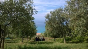 Microfattoria Meré